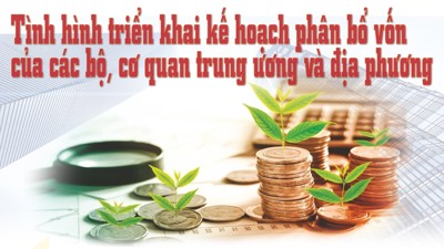 INFOGRAPHIC: Triển khai kế hoạch phân bổ vốn của các bộ, cơ quan trung ương và địa phương