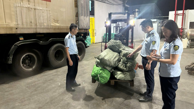 Chặn đứng hàng chục tấn thực phẩm “bẩn” tuồn ra thị trường