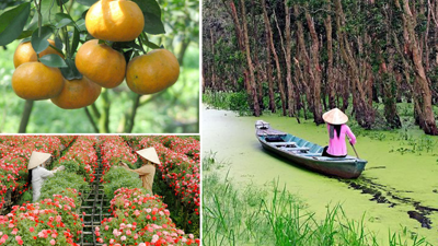 Thông tin thống kê làm rõ nét bức tranh tái cơ cấu ngành nông nghiệp tỉnh Đồng Tháp