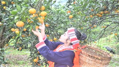 Tuyên Quang đảm bảo thực hiện thành công Tổng Điều tra nông thôn, nông nghiệp năm 2025