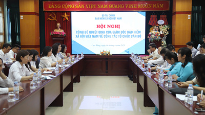 Điều động, bổ nhiệm làm Giám đốc Bảo hiểm xã hội khu vực IX