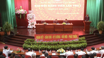 Vĩnh Long: Chọn Đảng bộ Sở Tài chính tổ chức Đại hội điểm