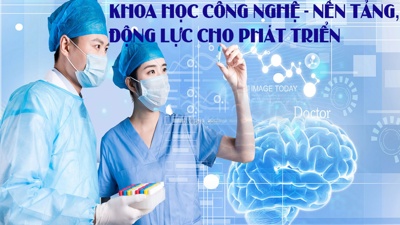 TP. Hồ Chí Minh: Doanh số thương mại điện tử chiếm tỷ lệ 33% so với cả nước