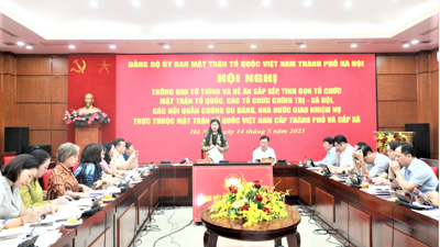 Tổ chức và hoạt động của Mặt trận Tổ quốc, các tổ chức chính trị - xã hội cấp tỉnh, xã theo mô hình mới