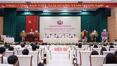 Phấn đấu thực hiện hiệu quả các chỉ tiêu phát triển Bảo hiểm xã hội, Bảo hiểm y tế giai đoạn 2025-2030