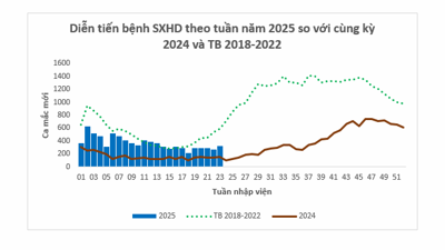 TP. Hồ Chí Minh: Thực hiện tháng cao điểm phòng chống sốt xuất huyết năm 2025