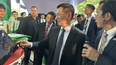 Cần hoàn thiện thể chế  thúc đẩy thanh toán sáng tạo, an toàn
