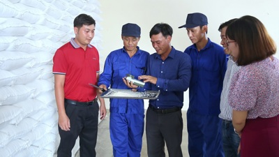 Chi cục Dự trữ Nhà nước khu vực II hoàn thành nhập kho 21.000 tấn gạo 