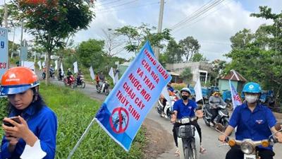 TP. Hồ Chí Minh: Hưởng ứng ngày ASEAN phòng, chống sốt xuất huyết lần thứ 15 