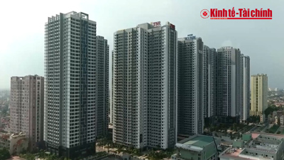 VIDEO: Giá chung cư Hà Nội đang hạ nhiệt sau đỉnh tháng 10/2024