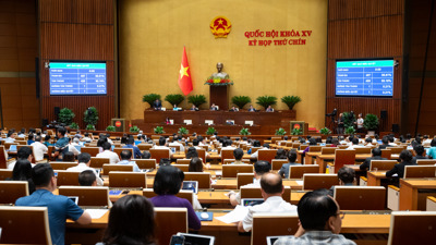 Luật sửa đổi, bổ sung một số điều của Luật Doanh nghiệp có hiệu lực ngay từ ngày 1/7/2025