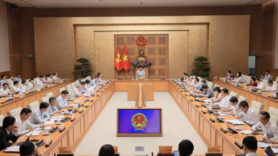 Doanh nghiệp Nhà nước phải nắm giữ lĩnh vực then chốt và tiên phong trong lĩnh vực mới