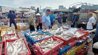 Ngành thủy sản mở đợt cao điểm chống buôn lậu và gian lận thương mại