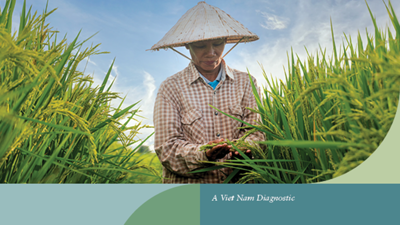 Bình đẳng giới: Lợi thế chiến lược trong nền kinh tế xanh