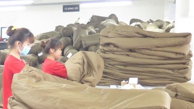Kỳ 2: Đóng góp tích cực của khu vực FDI đối với nền kinh tế