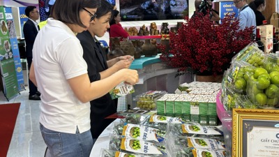 Định vị lại niềm tin của người tiêu dùng về thực phẩm an toàn