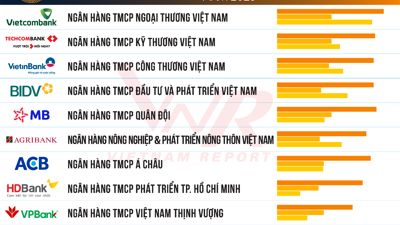 Top 10 “đại gia” ngân hàng và dự báo cơ hội tăng trưởng năm 2025