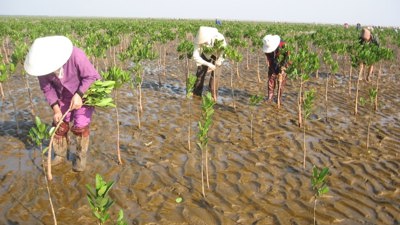 Dành nguồn lực đầu tư thích ứng biến đổi khí hậu để giảm thiểu tổn thất GDP
