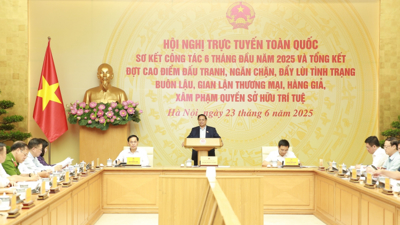 Thủ tướng Phạm Minh Chính: Huy động cả hệ thống chính trị chống hàng giả