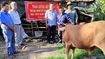 Chiến lược phát triển nông thôn mới gắn với giảm nghèo bền vững giai đoạn mới