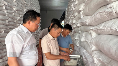 Nâng hiệu quả dự trữ quốc gia thông qua đổi mới quản lý
