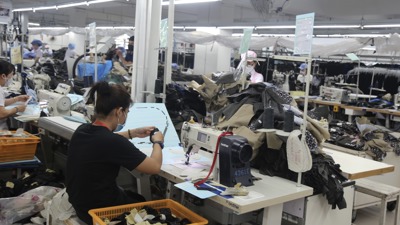 Vĩnh Long: 5 tháng, tổng kim ngạch xuất khẩu đạt trên 475 triệu USD