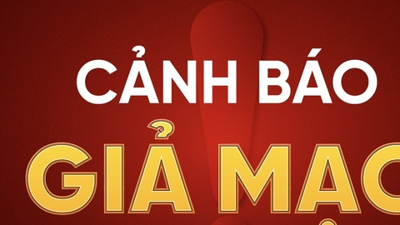 Cảnh báo giả mạo Cục Đăng kiểm lừa chủ phương tiện