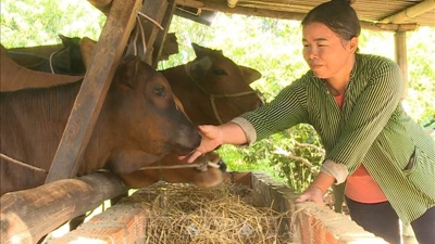 Chuyển biến tích cực trong công tác giảm nghèo tại tỉnh Quảng Bình