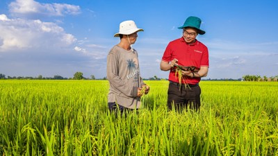 Tín dụng xanh Agribank góp phần hiện thực hóa mục tiêu phát triển bền vững của quốc gia