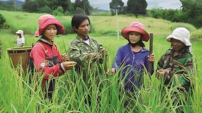 Giảm nghèo bền vững là động lực phát triển kinh tế - xã hội
