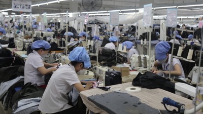 Vĩnh Long: GRDP 6 tháng đầu năm tăng 8,16%