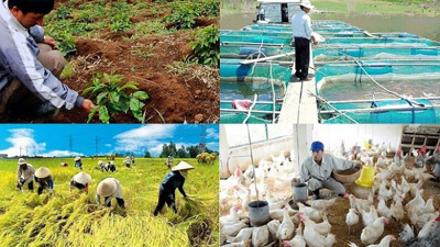 Ngành nông nghiệp quyết tâm hiện thực hóa mục tiêu tăng trưởng
