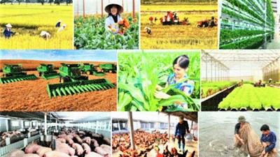 Ninh Bình sẵn sàng tâm thế, chuẩn bị tốt cho Tổng điều tra Nông thôn, nông nghiệp năm 2025