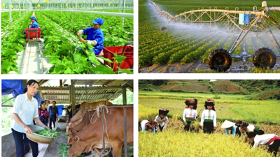 Tuyển chọn lực lượng tham gia điều tra - Yếu tố quyết định thành công Tổng điều tra Nông thôn, nông nghiệp năm 2025