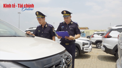 VIDEO: Gần 100.000 ô tô nhập khẩu trong 6 tháng – thị trường tăng đột biến 45%!