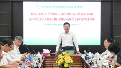 Thứ trưởng Bộ Tài chính Hồ Sỹ Hùng làm việc với Tập đoàn Công nghiệp Cao su Việt Nam