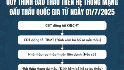 Hệ thống mạng đấu thầu Quốc gia cập nhật chức năng mới từ 1/7/2025