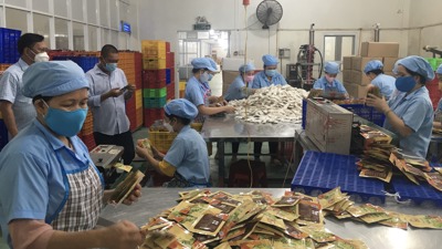 Vĩnh Long: Không yêu cầu doanh nghiệp thay đổi thông tin do đổi địa giới hành chính