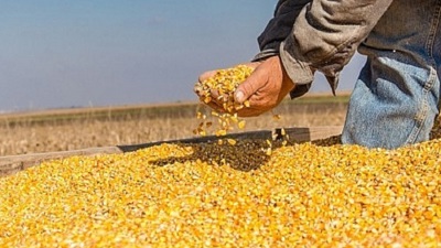 Việt Nam – Argentina đẩy mạnh hợp tác nông nghiệp, mở rộng thị trường xuất khẩu