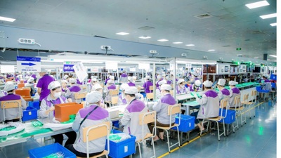Tăng trưởng kinh tế của Nghệ An đứng đầu tiểu vùng Bắc Trung Bộ