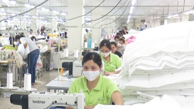 Quyết liệt thúc đẩy hoàn thiện thể chế, pháp luật, cải thiện môi trường đầu tư kinh doanh