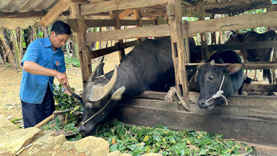 Tăng tốc chương trình nông thôn mới và giảm nghèo