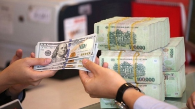 Đánh đổi tỷ giá để duy trì lãi suất thấp