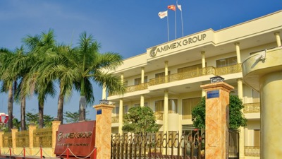 Cà Mau: 192 đơn vị, doanh nghiệp chậm đóng bảo hiểm xã hội, bảo hiểm y tế
