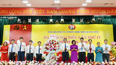 Đại hội đại biểu Đảng bộ Công ty CP bongdaso vn Quảng Ninh lần thứ IV