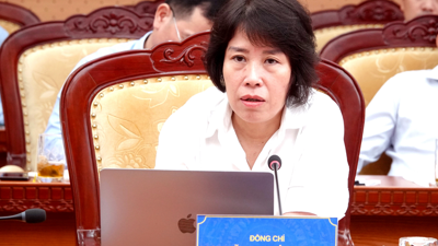 Thứ trưởng Bộ Tài chính Nguyễn Thị Bích Ngọc: Cần định vị lại dòng vốn FDI trong bối cảnh xu thế mới