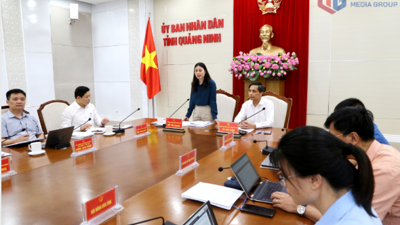Quảng Ninh đẩy mạnh thu thập thông tin hoàn thành tiến độ 