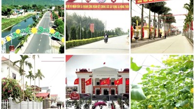 Ninh Bình thu thập thông tin phục vụ hoạch định chính sách phát triển nông thôn, nông nghiệp