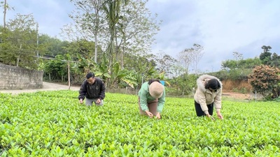 Nơi ở và làm việc lâu nhất của Bộ Tài chính tại ATK