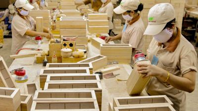 Vượt "bão" giá logistics và chính sách thuế, ngành gỗ tìm cơ trong nguy